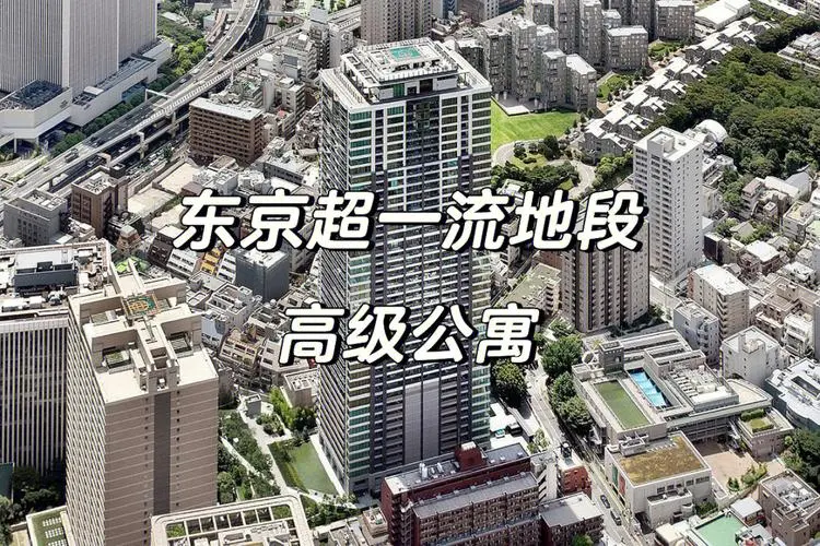 u=1255676539,1935011403&fm=253&fmt=auto&app=138&f=JPEG.jpg